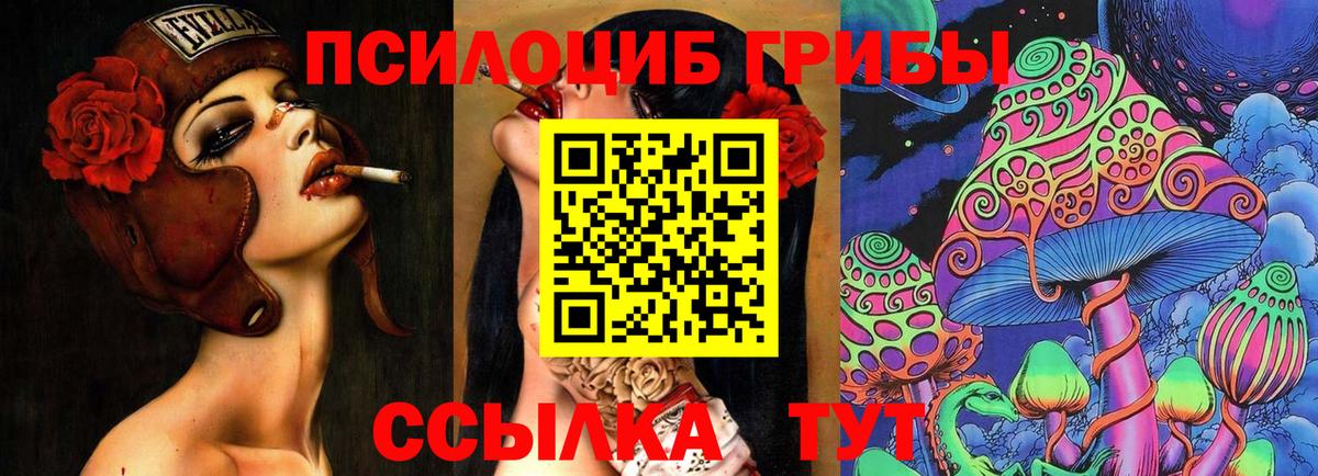 купить наркоту  Галлюциногенные грибы прущие грибы  Вход с VPN  Шали  Псилоцибиновые грибы Psilocybine cubensis 
